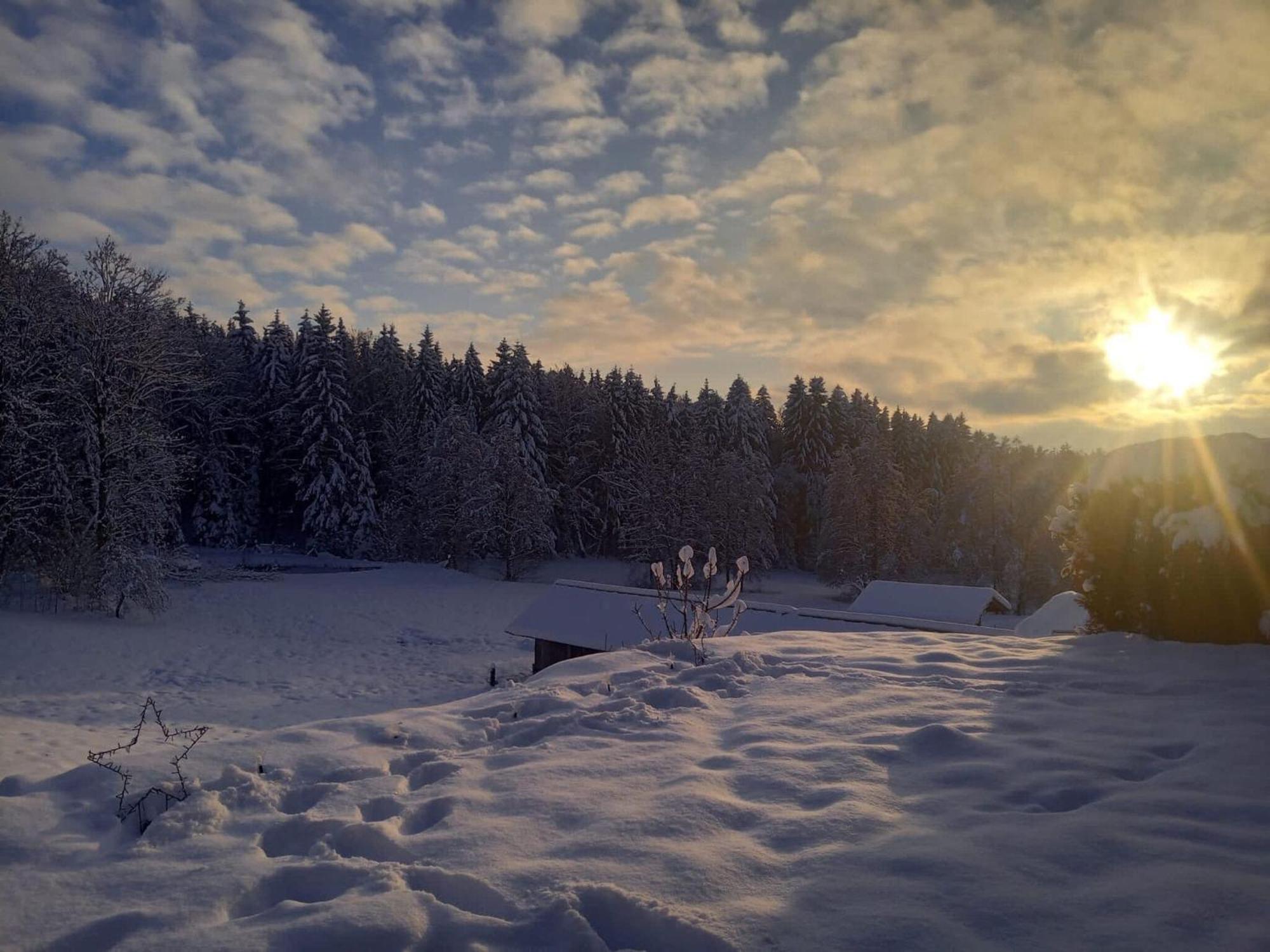 Ferienwohnung Im Bayerischen Wald Mit Terrasse วิชอาค ภายนอก รูปภาพ